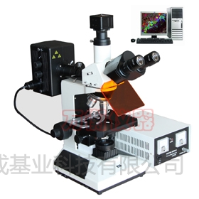 电脑型落射荧光显微镜M30C价格 | M30C参数